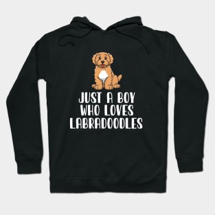 Just A Boy Who Loves Labradoodles Hoodie